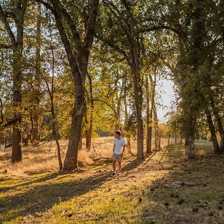 Lovers Nest By Casa Oso With Private Hiking Trails And Pond Mariposa Kültér fotó