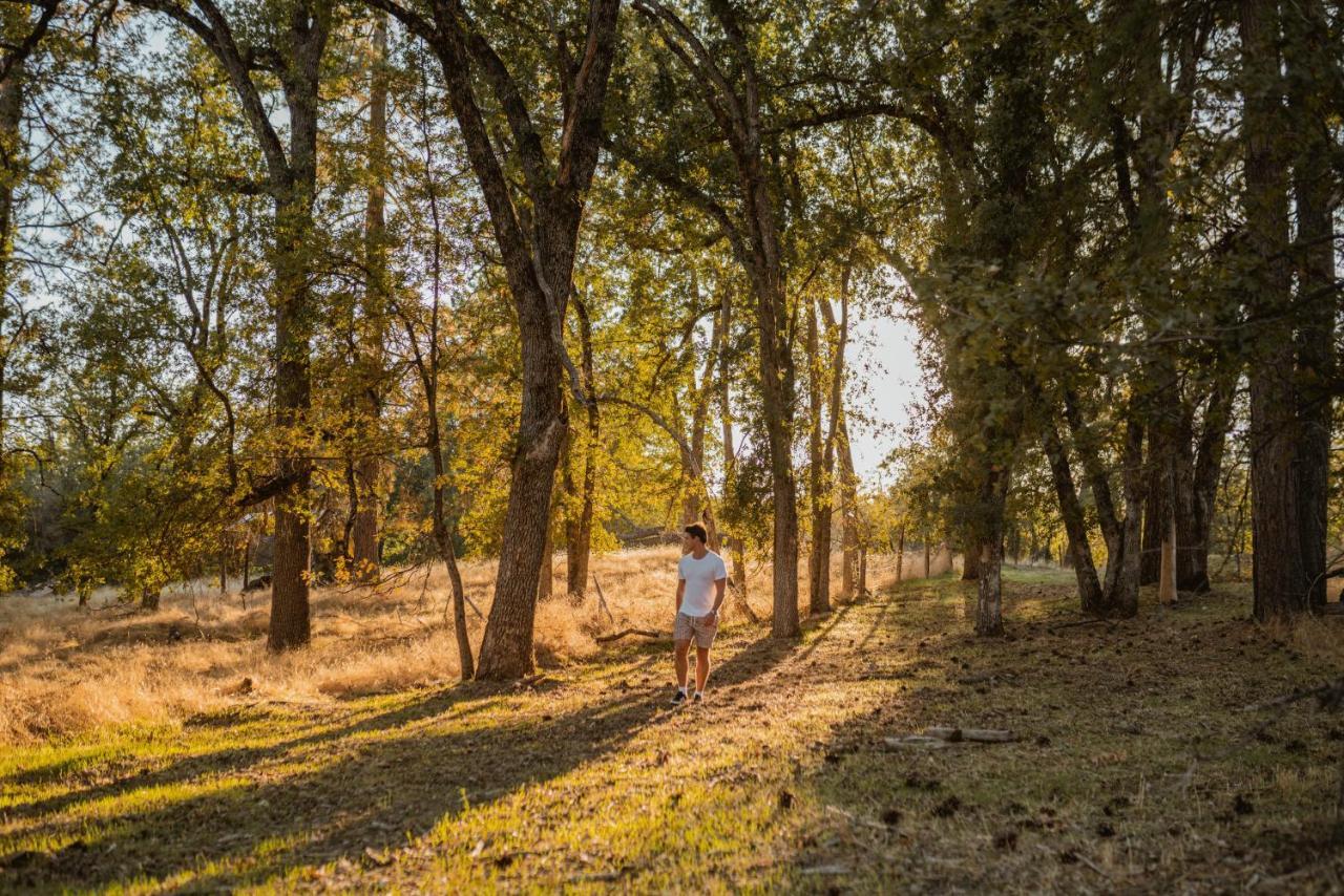 Lovers Nest By Casa Oso With Private Hiking Trails And Pond Mariposa Kültér fotó