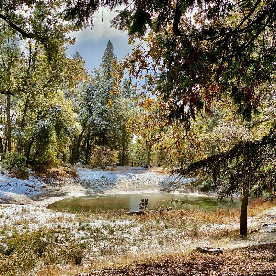 Lovers Nest By Casa Oso With Private Hiking Trails And Pond Mariposa Kültér fotó